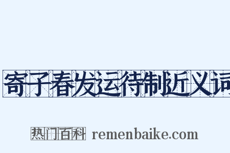 寄子春发运待制近义词是什么意思的图片